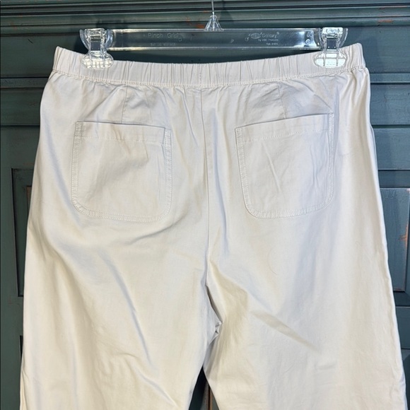 Like New! J. Jill Cream Chinos Lightweight Casual Pants Pull on Size M - Picture 3 of 9